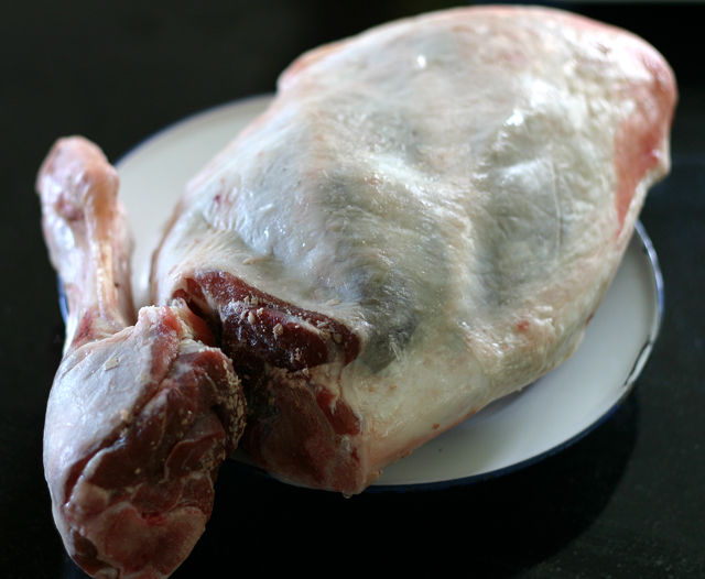 Lamb1.jpg